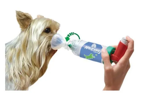 AeroDawg4