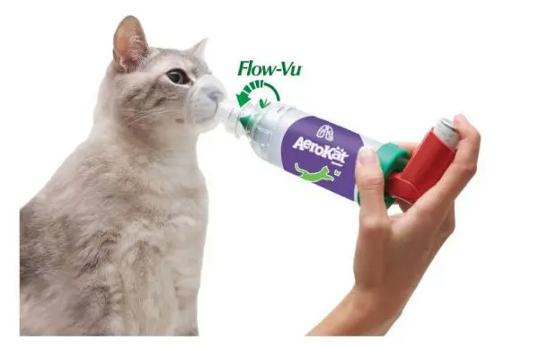 AeroKat4